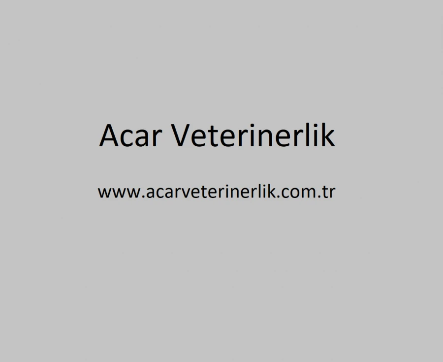 www.acarveterinerlik.com.tr