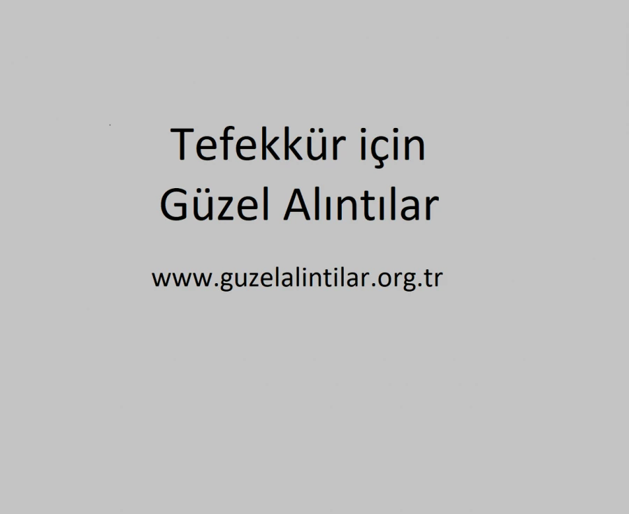 www.guzelalintilar.org.tr