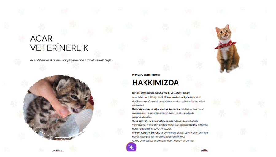 www.acarveterinerlik.com.tr