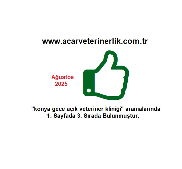 Acar Veterinerlik | Konya’da Gece Açık Evcil Hayvan Kliniği ve Tedavi Hizmeti