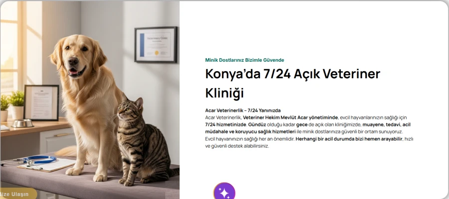 Acar Veterinerlik | Konya’da Gece Açık Evcil Hayvan Kliniği ve Tedavi Hizmeti