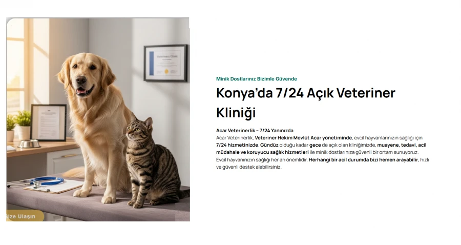 Acar Veterinerlik | Konya’da Gece Açık Evcil Hayvan Kliniği ve Tedavi Hizmeti