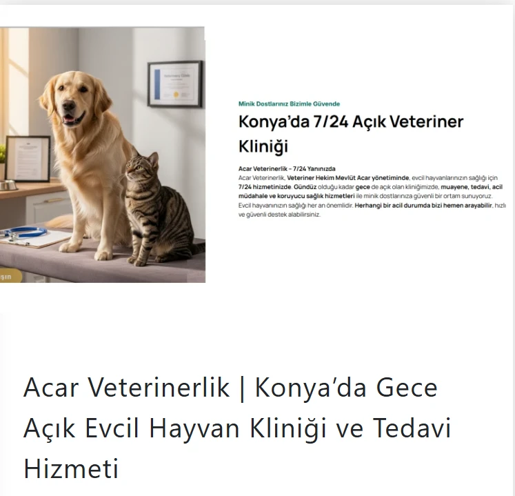 Acarveterinerlik.com.tr